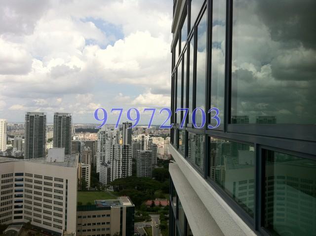Soleil @ Sinaran (D11), Condominium #169877112